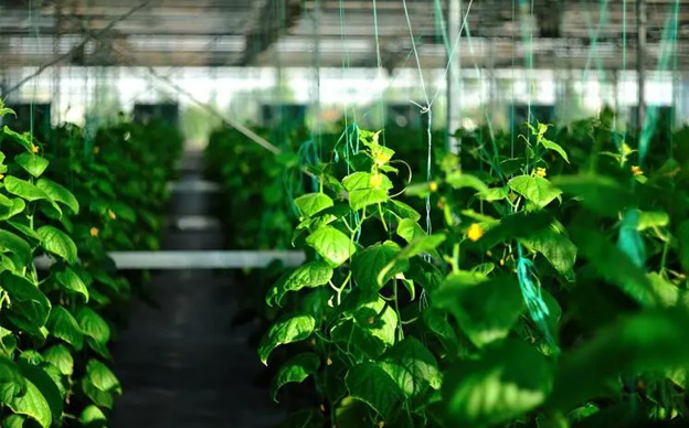 1655362789845982.jpg 1a0d960e29a7a31e8691b5193431e4b7.jpg